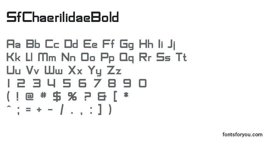 A fonte SfChaerilidaeBold – alfabeto, números, caracteres especiais