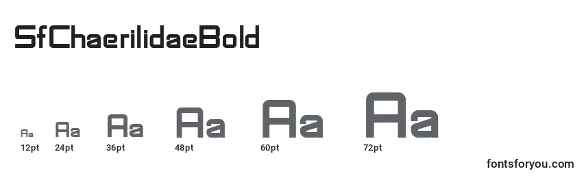 SfChaerilidaeBold Font Sizes