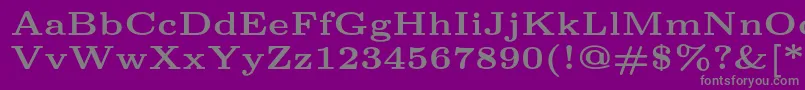 Lmroman6Bold Font – Gray Fonts on Purple Background