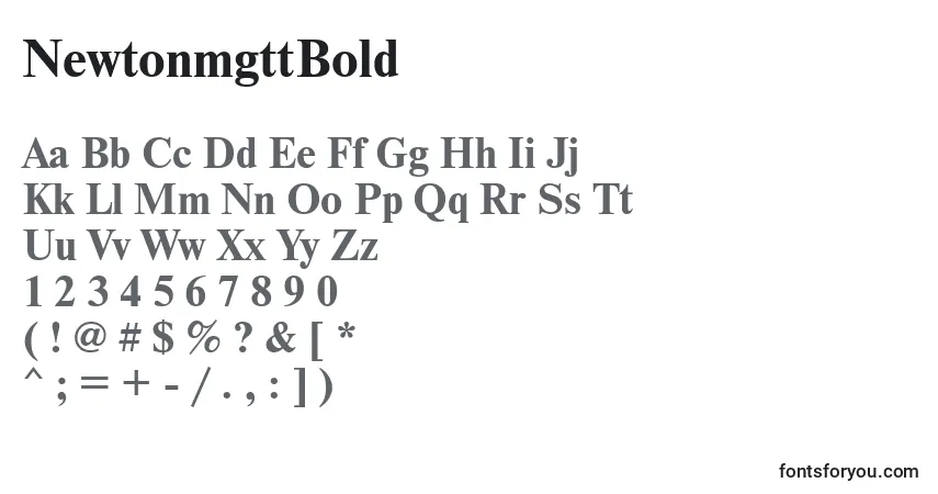 Czcionka NewtonmgttBold – alfabet, cyfry, specjalne znaki
