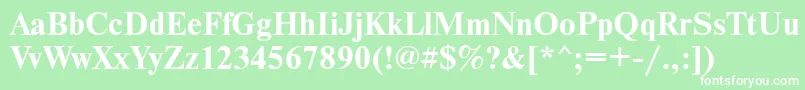 NewtonmgttBold Font – White Fonts on Green Background