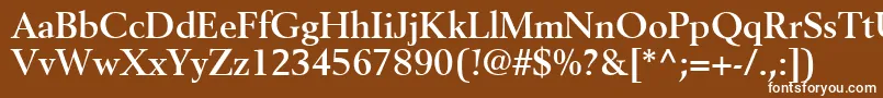 CortexSsiBold Font – White Fonts on Brown Background