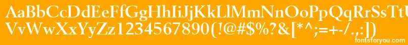 CortexSsiBold Font – White Fonts on Orange Background