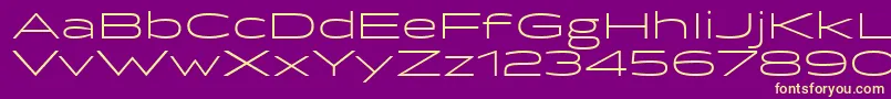 BrillerLight Font – Yellow Fonts on Purple Background