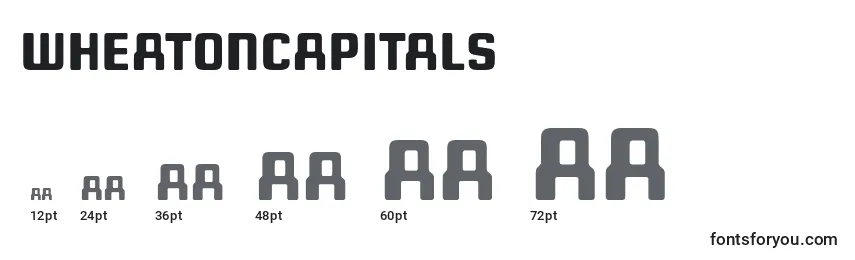 Размеры шрифта WheatonCapitals