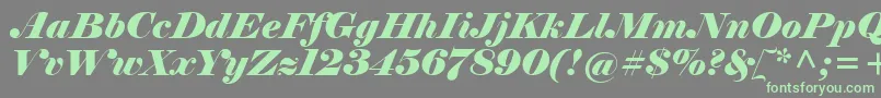 フォントElephantItalic – 灰色の背景に緑のフォント