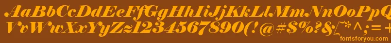 Czcionka ElephantItalic – pomarańczowe czcionki na brązowym tle