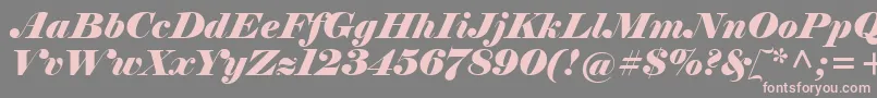 fuente ElephantItalic – Fuentes Rosadas Sobre Fondo Gris