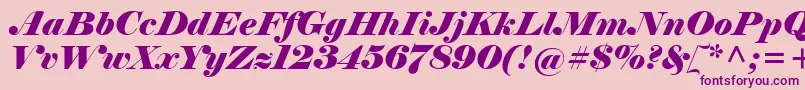 ElephantItalic Font – Purple Fonts on Pink Background