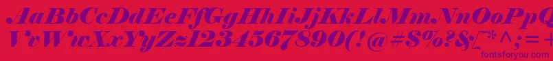 ElephantItalic-Schriftart – Violette Schriften auf rotem Hintergrund