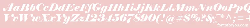 ElephantItalic Font – White Fonts on Pink Background