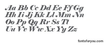 ElephantItalic Font
