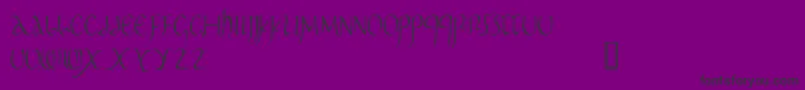 Pomponianus Font – Black Fonts on Purple Background