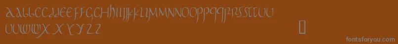 Pomponianus Font – Gray Fonts on Brown Background