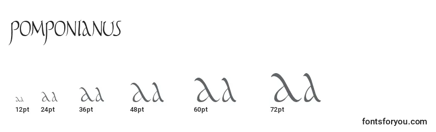 Pomponianus Font Sizes
