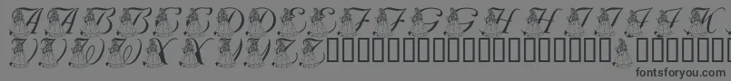 フォントLmsForPrincessJulie – 黒い文字の灰色の背景