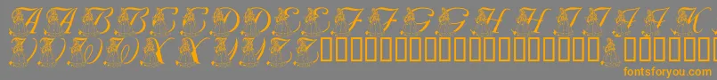 LmsForPrincessJulie Font – Orange Fonts on Gray Background