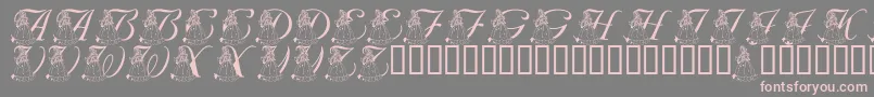 フォントLmsForPrincessJulie – 灰色の背景にピンクのフォント