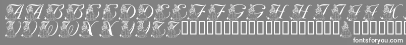 LmsForPrincessJulie Font – White Fonts on Gray Background