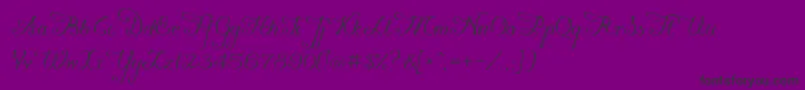 Konstytucyja091-Schriftart – Schwarze Schriften auf violettem Hintergrund