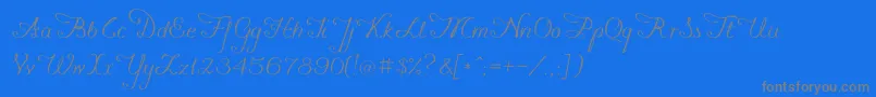 Weitere Informationen zur Konstytucyja091-Schriftart Konstytucyja091-Schriftart – Graue Schriften auf blauem Hintergrund