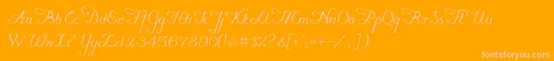 Konstytucyja091 Font – Pink Fonts on Orange Background