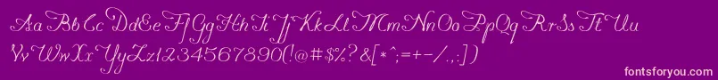 Konstytucyja091 Font – Pink Fonts on Purple Background