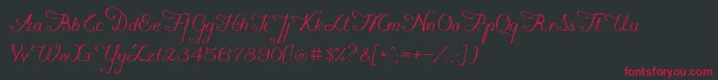 Konstytucyja091 Font – Red Fonts on Black Background