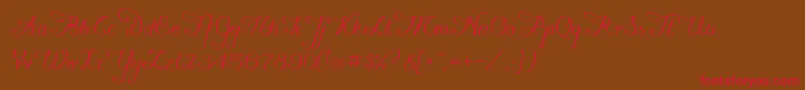 Konstytucyja091 Font – Red Fonts on Brown Background