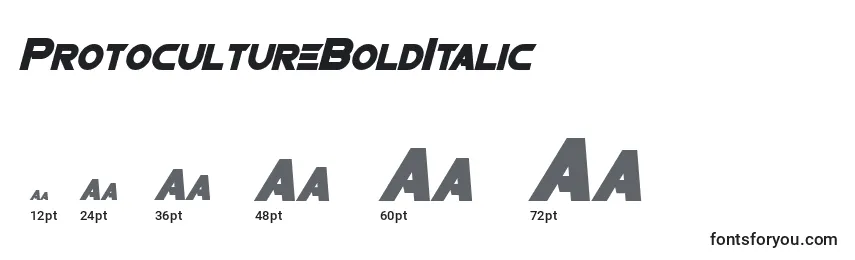 Размеры шрифта ProtocultureBoldItalic
