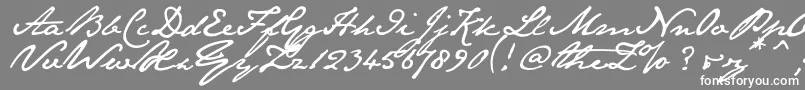 Janeausten-Schriftart – Weiße Schriften auf grauem Hintergrund