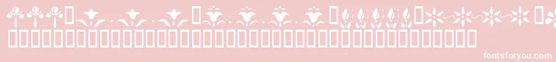 KrFleurFlairLines-Schriftart – Weiße Schriften auf rosa Hintergrund