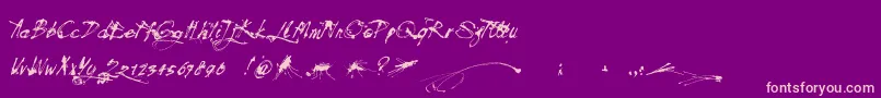 Mosquito Font – Pink Fonts on Purple Background