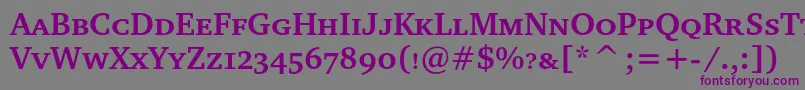 ChartersccBold Font – Purple Fonts on Gray Background