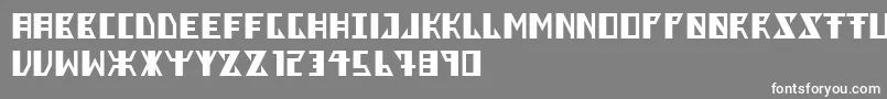 フォントBerkel – 灰色の背景に白い文字