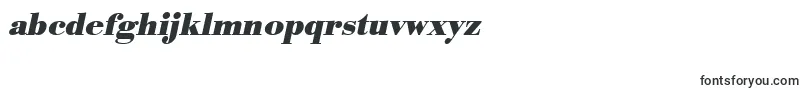 UrwbodonitBoldOblique Font – Alphabet Fonts