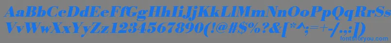 UrwbodonitBoldOblique Font – Blue Fonts on Gray Background