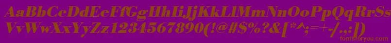 UrwbodonitBoldOblique Font – Brown Fonts on Purple Background