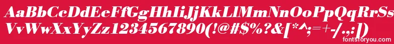 フォントUrwbodonitBoldOblique – 赤い背景に白い文字