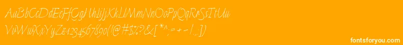 LinotypeFinerlinerMicro Font – White Fonts on Orange Background