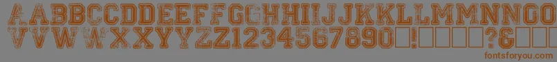 Colleged Font – Brown Fonts on Gray Background