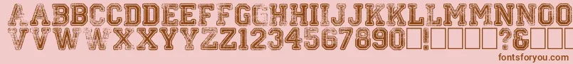 Colleged Font – Brown Fonts on Pink Background