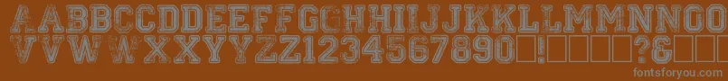 Colleged Font – Gray Fonts on Brown Background