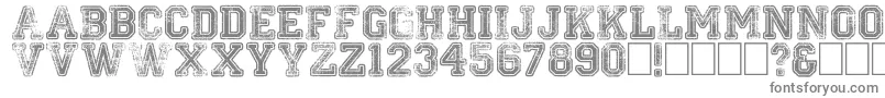 Colleged Font – Gray Fonts on White Background