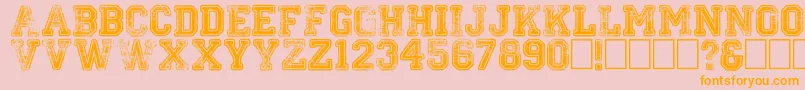 Colleged Font – Orange Fonts on Pink Background
