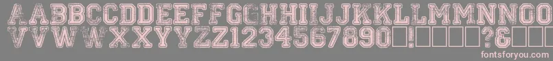 Colleged Font – Pink Fonts on Gray Background