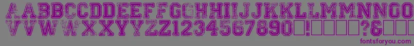 Colleged Font – Purple Fonts on Gray Background