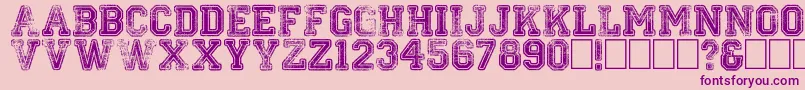 Colleged Font – Purple Fonts on Pink Background