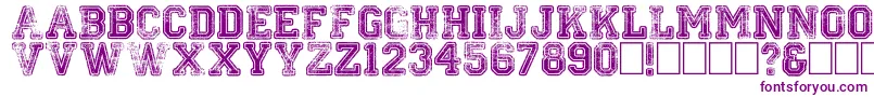 Colleged Font – Purple Fonts on White Background