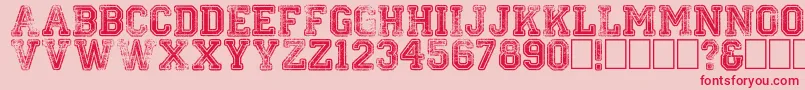 Colleged Font – Red Fonts on Pink Background